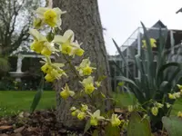 DSCF9973.webp