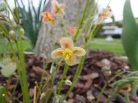DSCF9982.webp