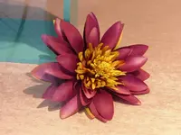 P1350177.webp