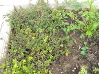 DSCN7722.webp