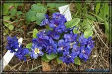 comp_DSC03258.webp