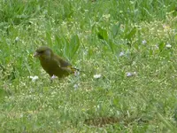 P1350146.webp