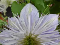 P1070750.webp