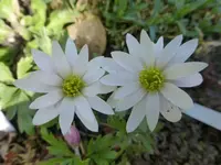 P1350373.JPG