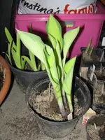 001_576x768.webp