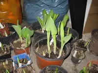 002_1024x768.webp