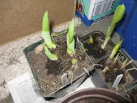 003_1024x768.webp