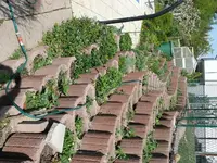 k-P1080897.webp
