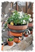 kuebel2.webp