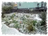 aprilschnee.webp