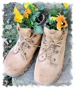 schuh1.webp
