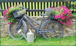 fahrrad1.webp