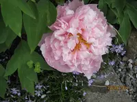 IMG_4381.webp