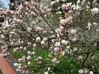20150428_124907.webp
