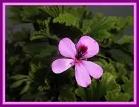 025.webp