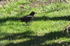 DSCF0670.webp