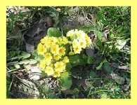 079.webp