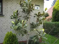 IMG_2181.webp