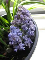 002_600x800.webp