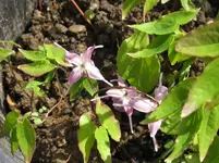 009_1067x800.webp
