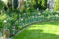 DSCF2688.webp