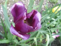 013.webp