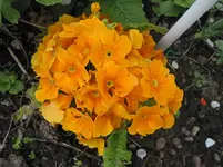 014.webp