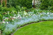 DSCF2699.webp