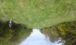 20150425_143353.webp