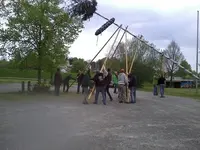 maibaum 15.webp