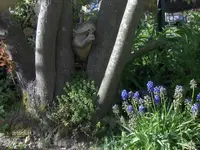 HPIM1457.webp