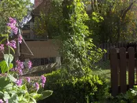 HPIM1463.webp