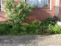 HPIM1464.webp