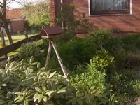 HPIM1465.webp