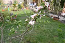 SAM_0612.webp