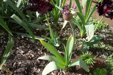 SAM_0618.webp