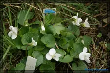 comp_DSC03277.webp