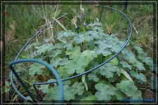 comp_DSC03279.webp