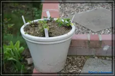 comp_DSC03281.webp