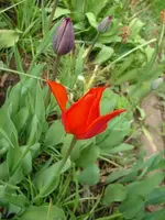 k-DSCI3263.webp