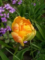 k-DSCI3265.webp
