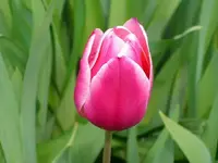 k-DSCI3267.webp