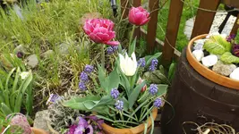 DSCF1622.webp