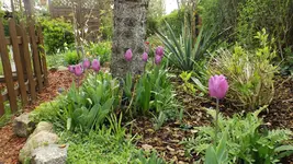 DSCF1621.webp