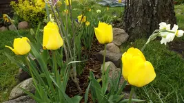DSCF1625.webp