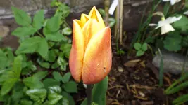 DSCF1628.webp