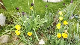 DSCF1631.webp