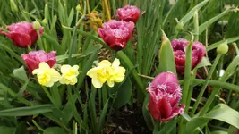 DSCF1633.webp