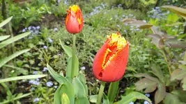 DSCF1638.webp