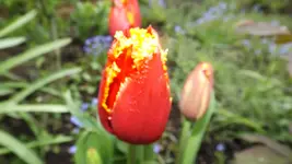 DSCF1639.webp